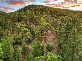 267 Negro Canyon Rd, Aragon, NM 87820