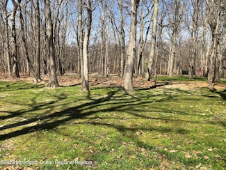 4 Kimberly Ct, Millstone, NJ 08510