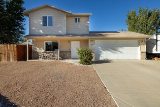 3296 Swift Fox Ct, Clifton, CO 81520