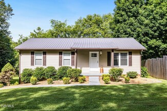 41 Springview Dr, Afton, TN 37616
