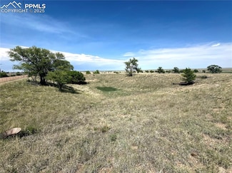 Tract 2 S East Ellicott Rd, Calhan, CO 80808