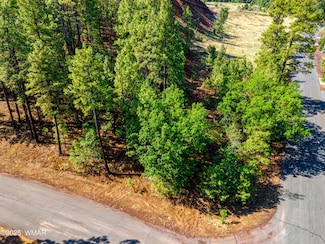 6281 Bent Oak Dr, Pinetop, AZ 85935
