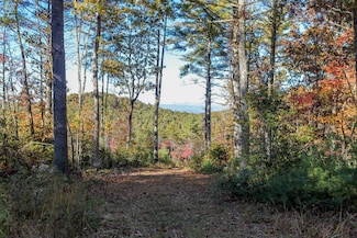 26/27 Bear Ridge Trail, Murphy, NC 28906
