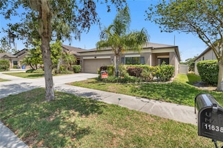 11638 Palmetto Pine St, Riverview, FL 33569
