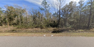 10240 Turpin Ave, Hastings, FL 32145