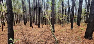 000 Williams Grove Rd, Camden, TN 38320