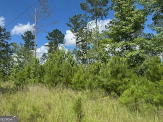 LOT 10 Tennille Oconee Rd, Tennille, GA 31089