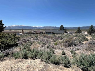 7 Rickey Peak Rd Unit 7, Bridgeport, CA 93517