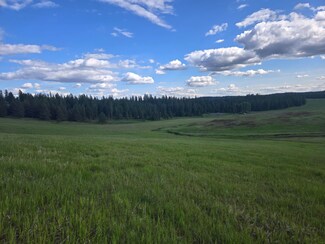 5266 Wagner Rd, Springdale, WA 99173