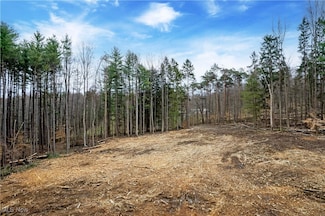 TBD Trumpower Rd, Monroe Township, OH 44864