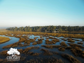 421 Powell Oak Dr, Ridgeland, SC 29936