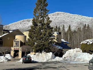 106 Fox Hollow Village Unit 5, Mendon, VT 05701