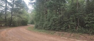 0 County Road 165, Long Branch, TX 75669
