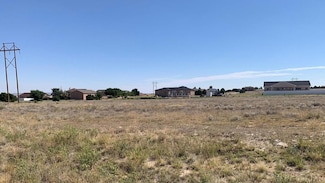 1110 S Purcell Blvd, Pueblo West, CO 81007