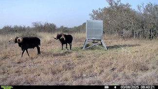0 Ranch To Market 334, Brackettville, TX 78832