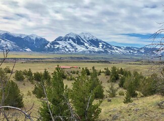 TBD Orion Way Unit Lot 39, Emigrant, MT 59027