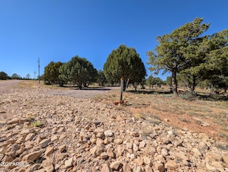 7267 Red Feather Ct, Happy Jack, AZ 86024