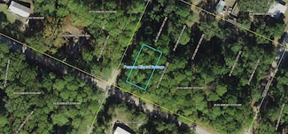 XX Tully Ave, Panacea, FL 32346