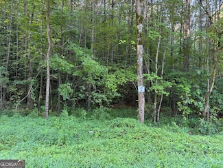 0 Price Creek Rd W Unit 10586200, Talking Rock, GA 30175