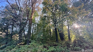 0 Lt 14&15 Cape Horn Dr, Concrete, WA 98237