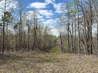 0 Marion-Ripley Rd, Jeffersonville, GA 31044