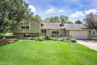 46 Lake Metonga Trail, Grant Park, IL 60940