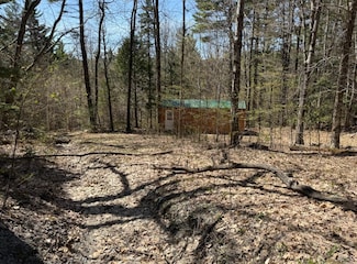 Lot 2 North St, Dover, VT 05431