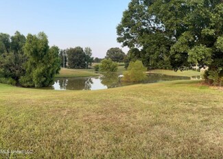 6 Autumn Oaks, Lamar, MS 38642