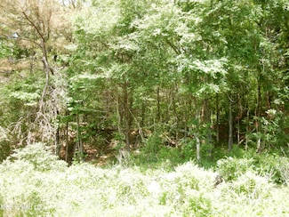 3 Looxahoma-Tyro Rd, Senatobia, MS 38668