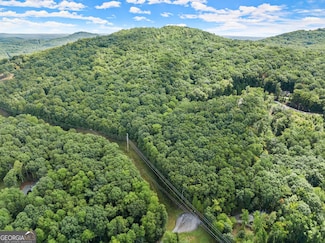 LOT 33 Long Mountain Trail, Cleveland, GA 30528