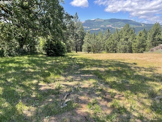 0 NW Howard Ct Unit Lot 4 22184944, White Salmon, WA 98672