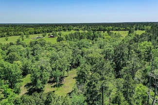 79.3 Acres Reese Rd, Pennington, TX 75856