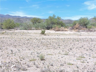 14087 Octillie Trail, Wikieup, AZ 85360