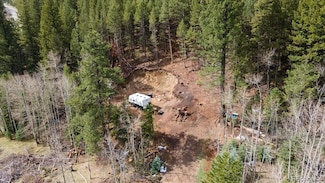 1521 Witter Gulch Rd, Evergreen, CO 80439
