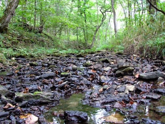 Rt. 6 Spring View Trail, Clay Township, MO 63401