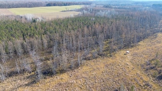 Highway 45, Birnamwood, WI 54414