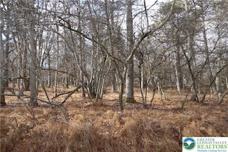 1922 E Old Stage Rd, Penn Forest Township, PA 18210