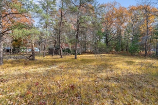 4565 Forest Trail, Indian River, MI 49749
