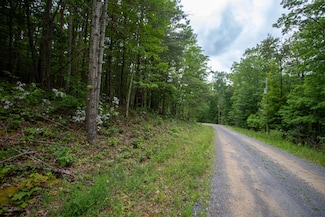 0 Cross Mountain Rd Unit 20903370, Luray, VA 22835