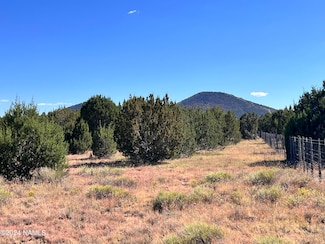 1156 E Utopia Trail, Red Lake, AZ 86046