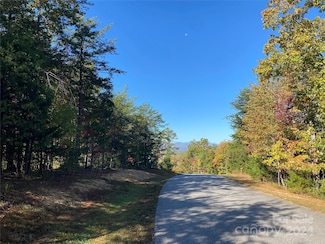 2127 Catawba Trail Unit 166, Nebo, NC 28761