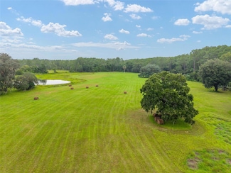 0 NE 127th St Unit MFRR4910125, Fort Mc Coy, FL 32134