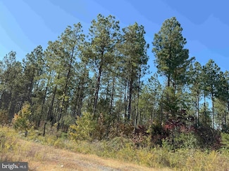 0 State Rt 47 (Thomas Jefferson Hwy) (Tract Rogers) Unit VACE2000028, Charlotte Court House, VA 23923