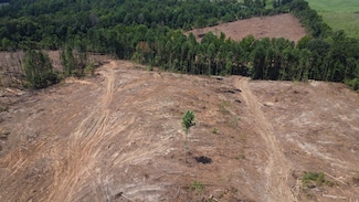 County Road 616, Ranburne, AL 36273