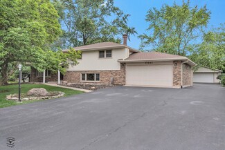 17242 Odell Ave, Tinley Park, IL 60477