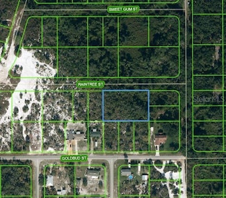 1515 Raintree St, Lake Placid, FL 33852