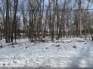 Lot 139LAN Willow Dr, Penn Forest Township, PA 18229