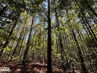 0 Barnes Rd, Fulton, MS 38843