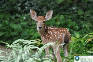 94 Blairwood Ln, Tunkhannock Township, PA 18210