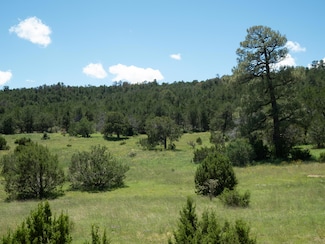 0 50 Ac Se S:34 T:7 R:6 Unit 1055379, Tajique, NM 87016